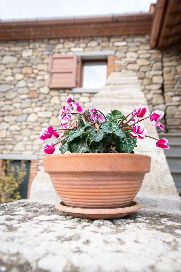Alojamento de Acomodação e Pequeno-almoço B&B Casa Del Pietro Pieve San Giovanni Itália